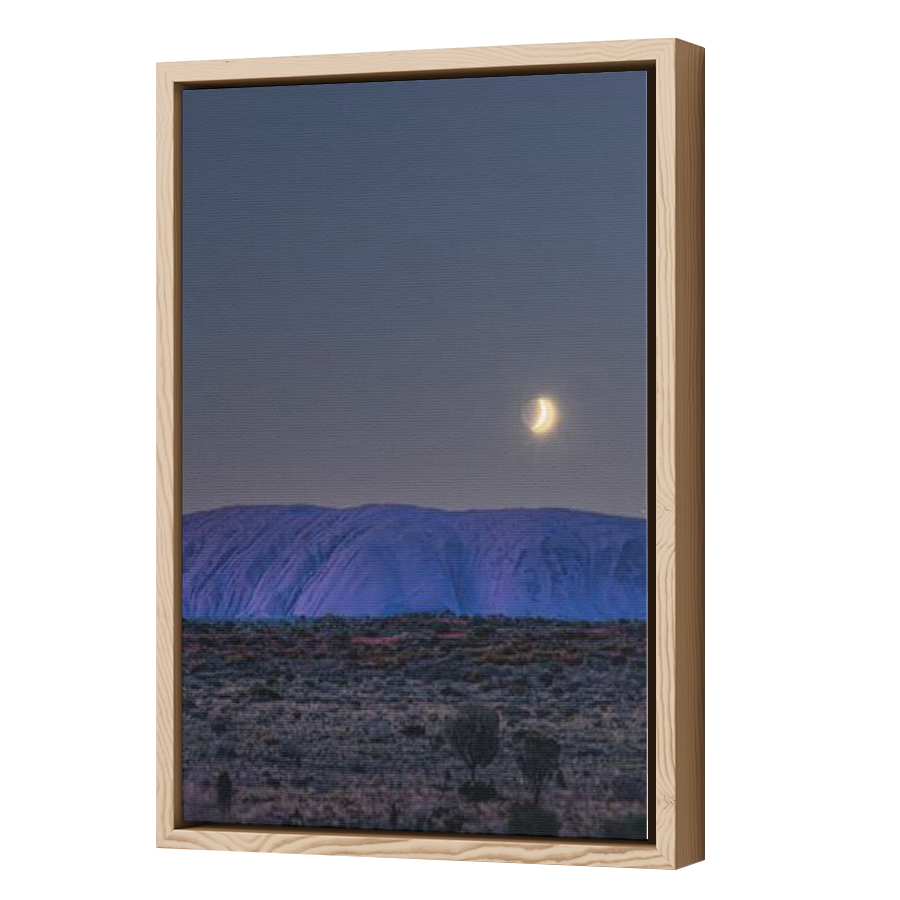 Thumbnail for Canvas - Wood Grain Floating Frame