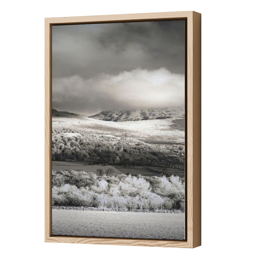 Thumbnail for Canvas - Wood Grain Floating Frame