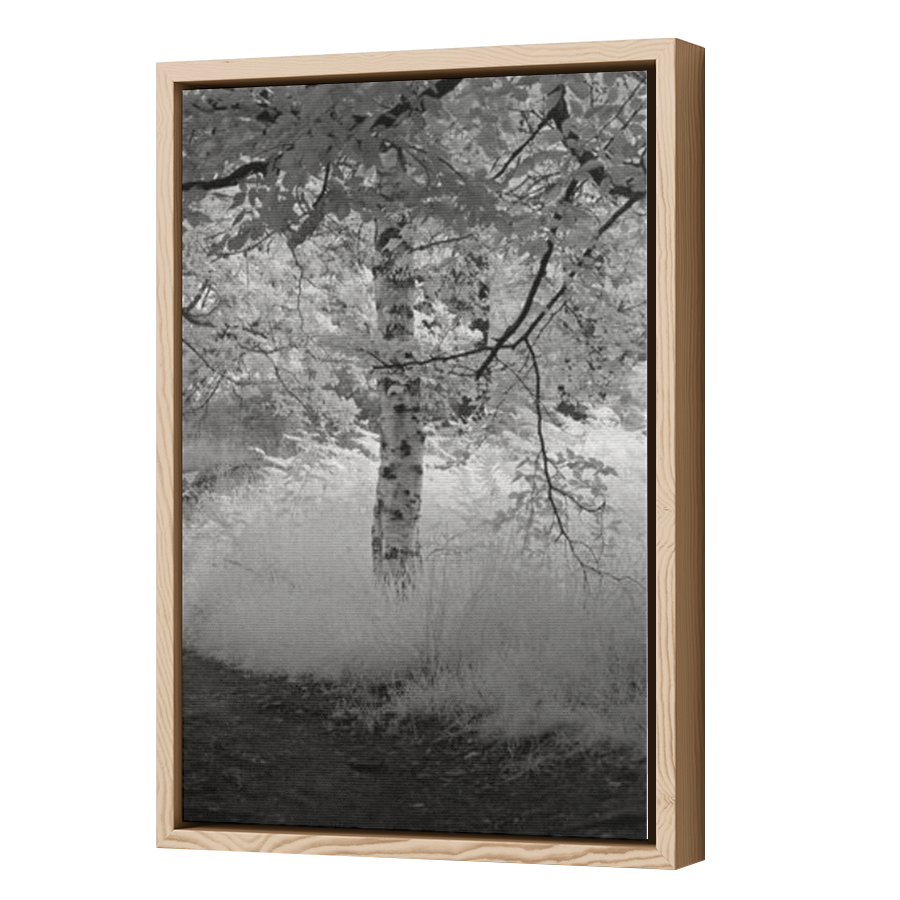 Thumbnail for Canvas - Wood Grain Floating Frame