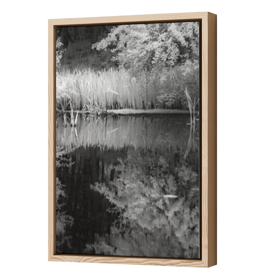 Thumbnail for Canvas - Wood Grain Floating Frame