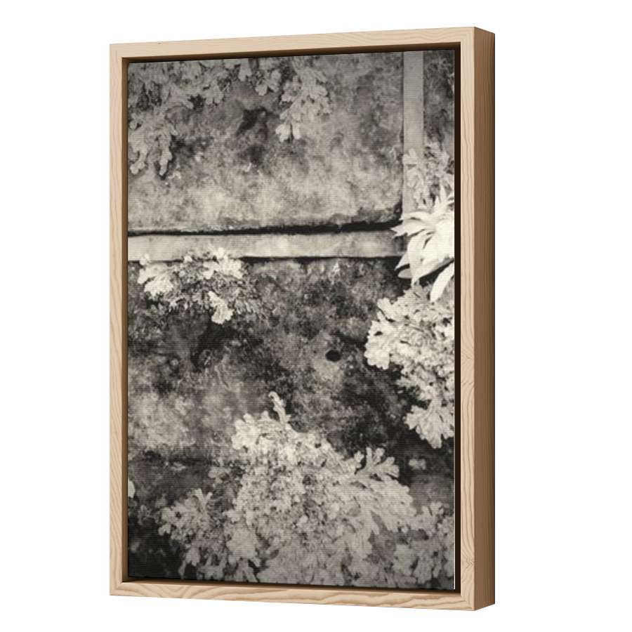 Thumbnail for Canvas - Wood Grain Floating Frame