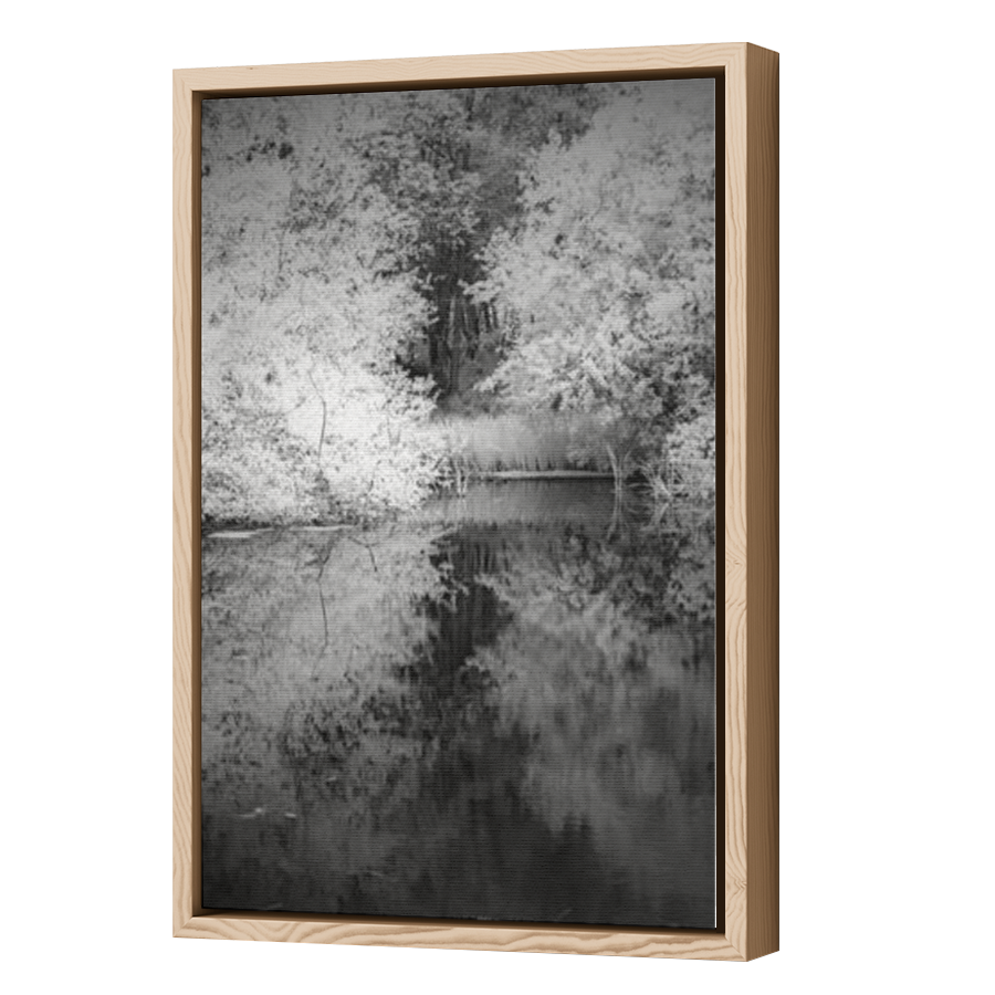 Thumbnail for Canvas - Wood Grain Floating Frame
