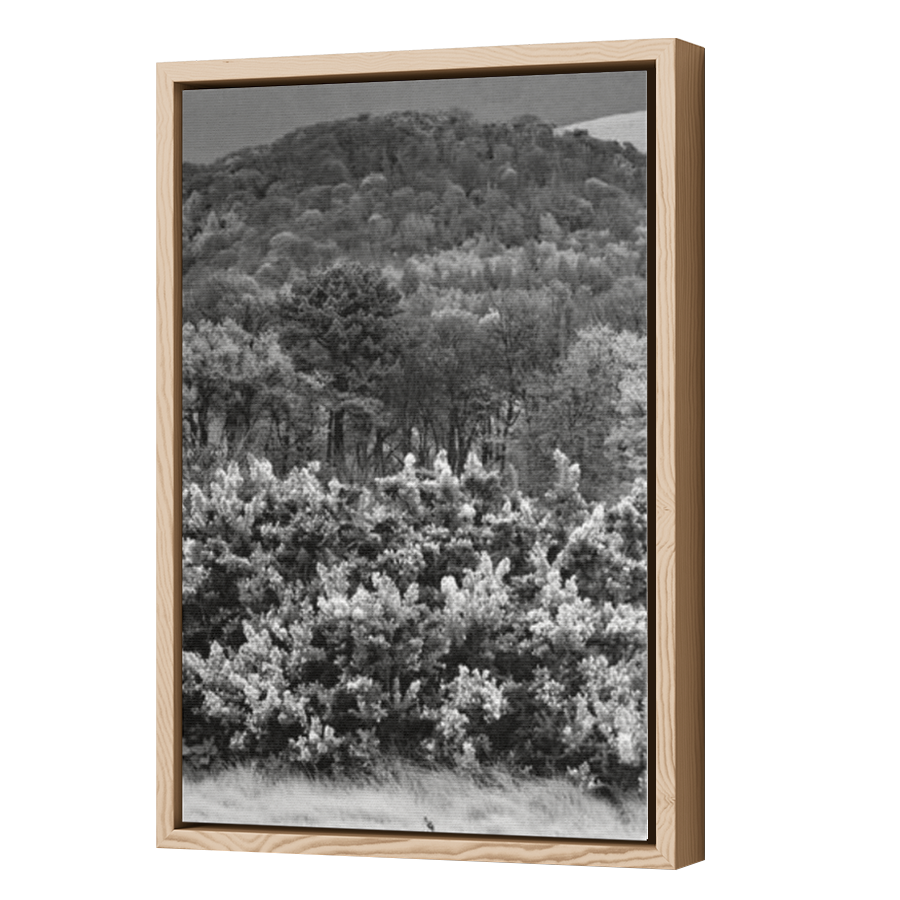 Thumbnail for Canvas - Wood Grain Floating Frame