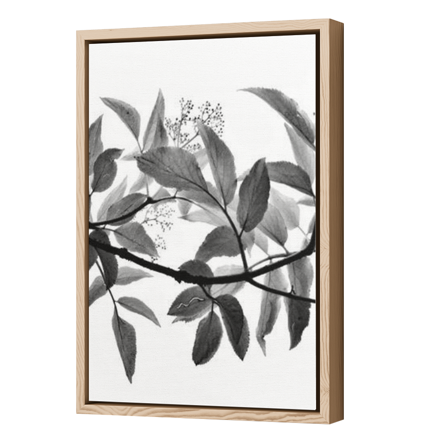 Thumbnail for Canvas - Wood Grain Floating Frame