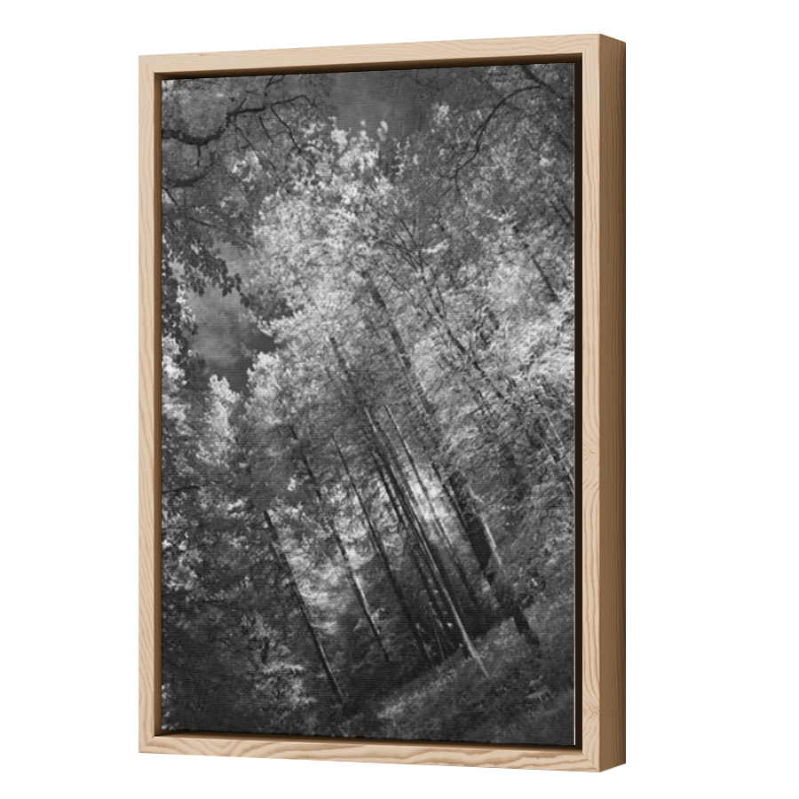 Thumbnail for Canvas - Wood Grain Floating Frame