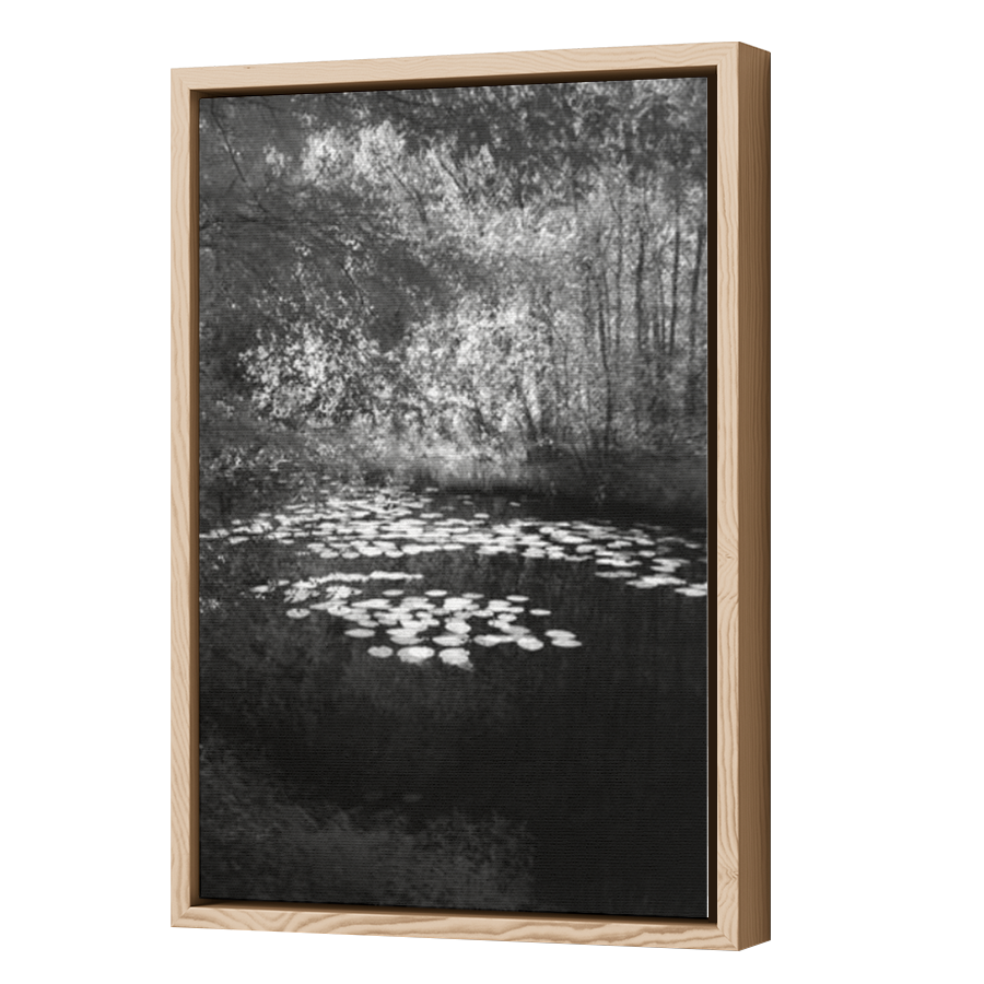 Thumbnail for Canvas - Wood Grain Floating Frame