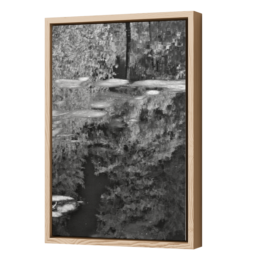 Thumbnail for Canvas - Wood Grain Floating Frame