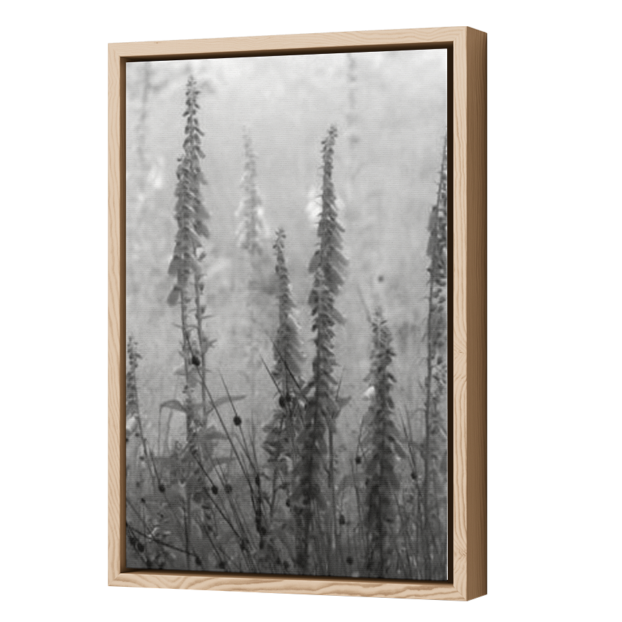 Thumbnail for Canvas - Wood Grain Floating Frame