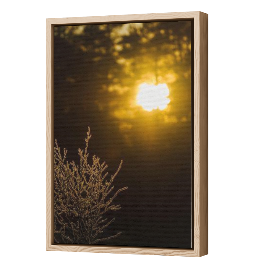 Thumbnail for Canvas - Wood Grain Floating Frame