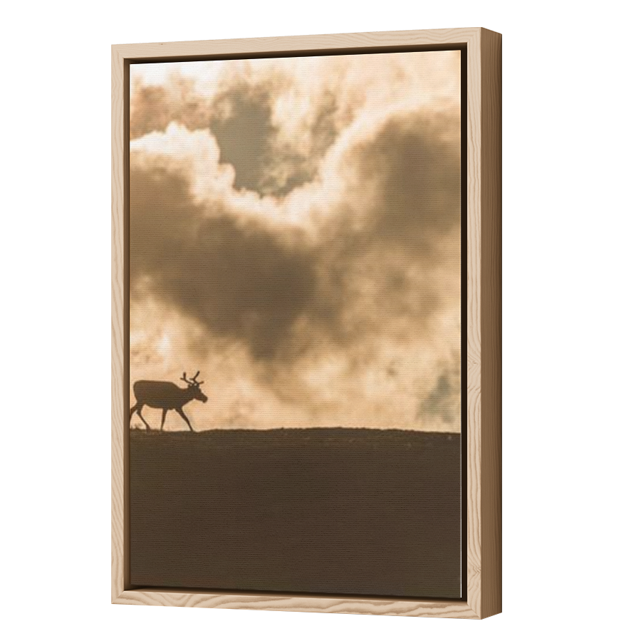 Thumbnail for Canvas - Wood Grain Floating Frame