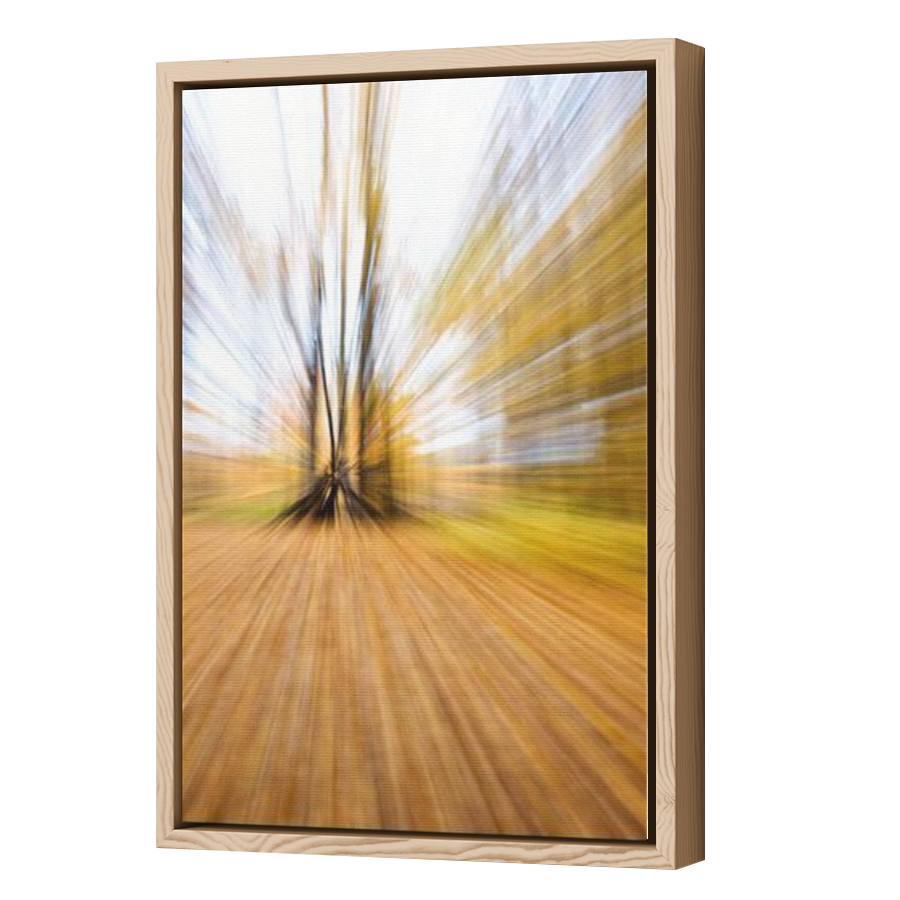 Thumbnail for Canvas - Wood Grain Floating Frame