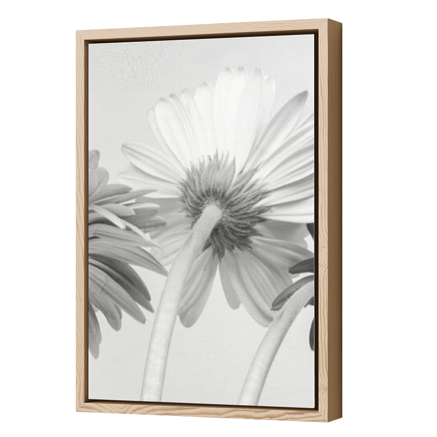 Thumbnail for Canvas - Wood Grain Floating Frame