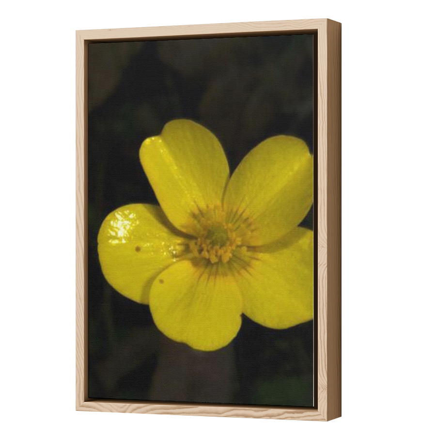 Thumbnail for Canvas - Wood Grain Floating Frame