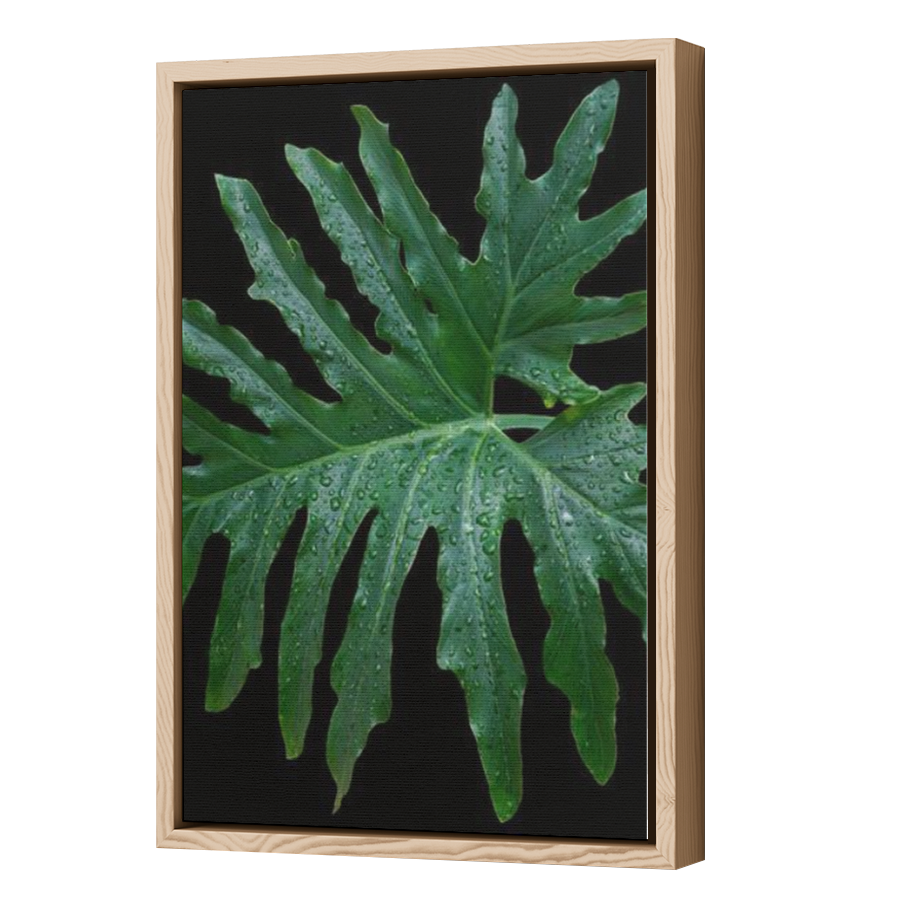 Thumbnail for Canvas - Wood Grain Floating Frame