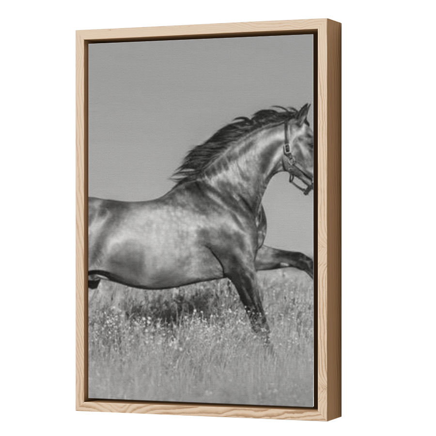 Thumbnail for Canvas - Wood Grain Floating Frame