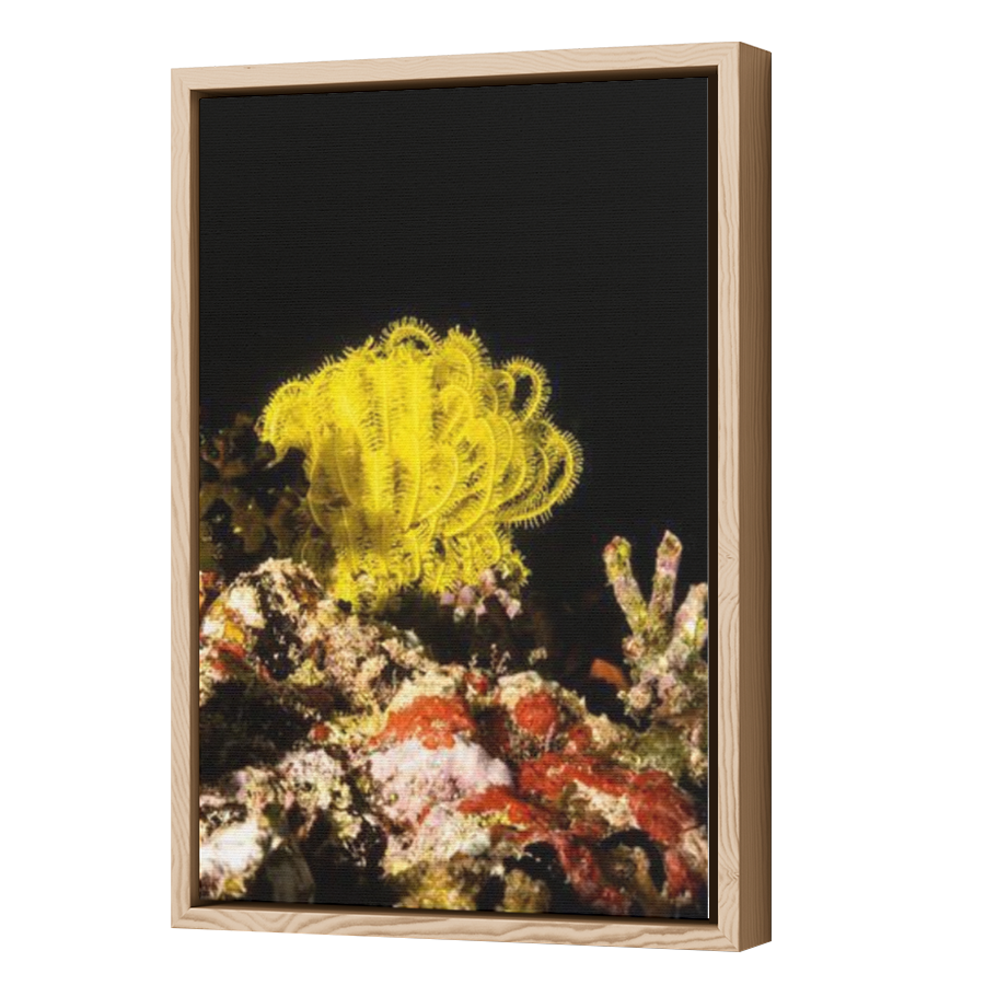 Thumbnail for Canvas - Wood Grain Floating Frame