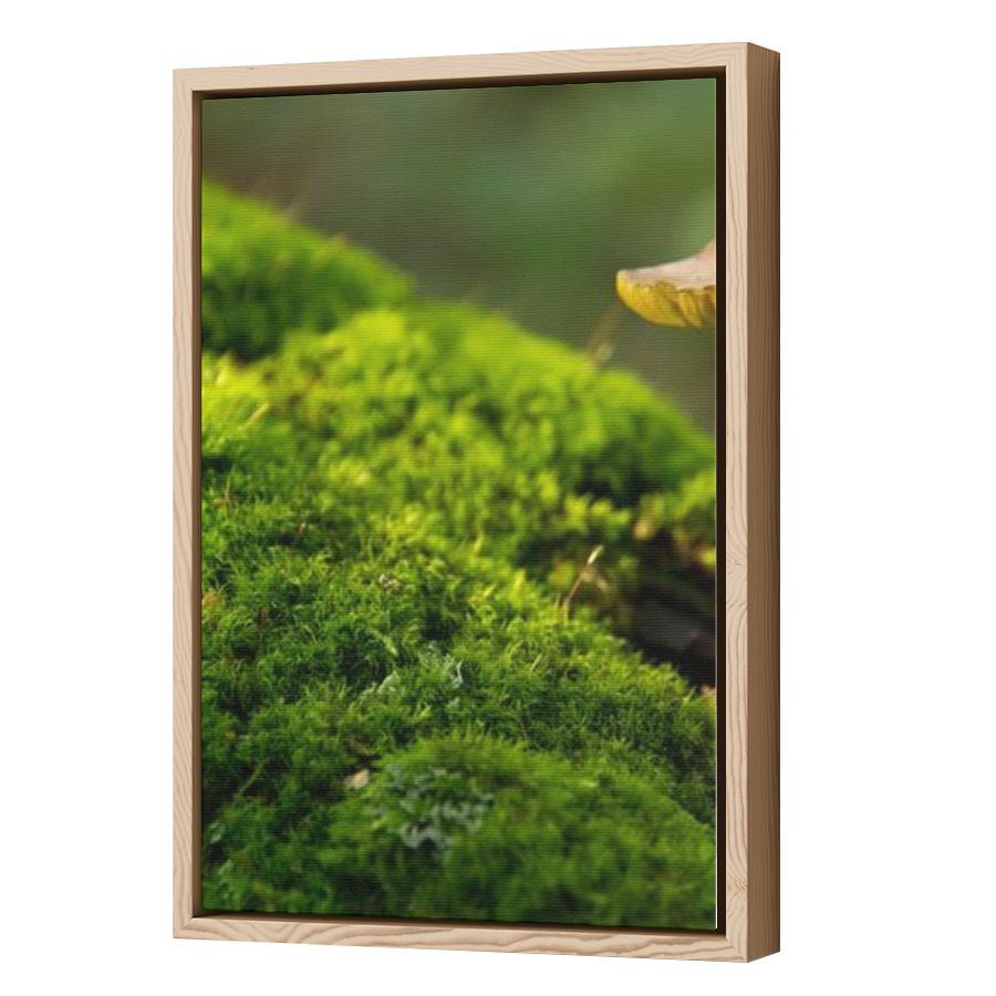 Thumbnail for Canvas - Wood Grain Floating Frame