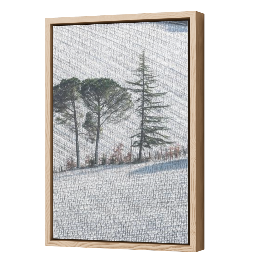 Thumbnail for Canvas - Wood Grain Floating Frame