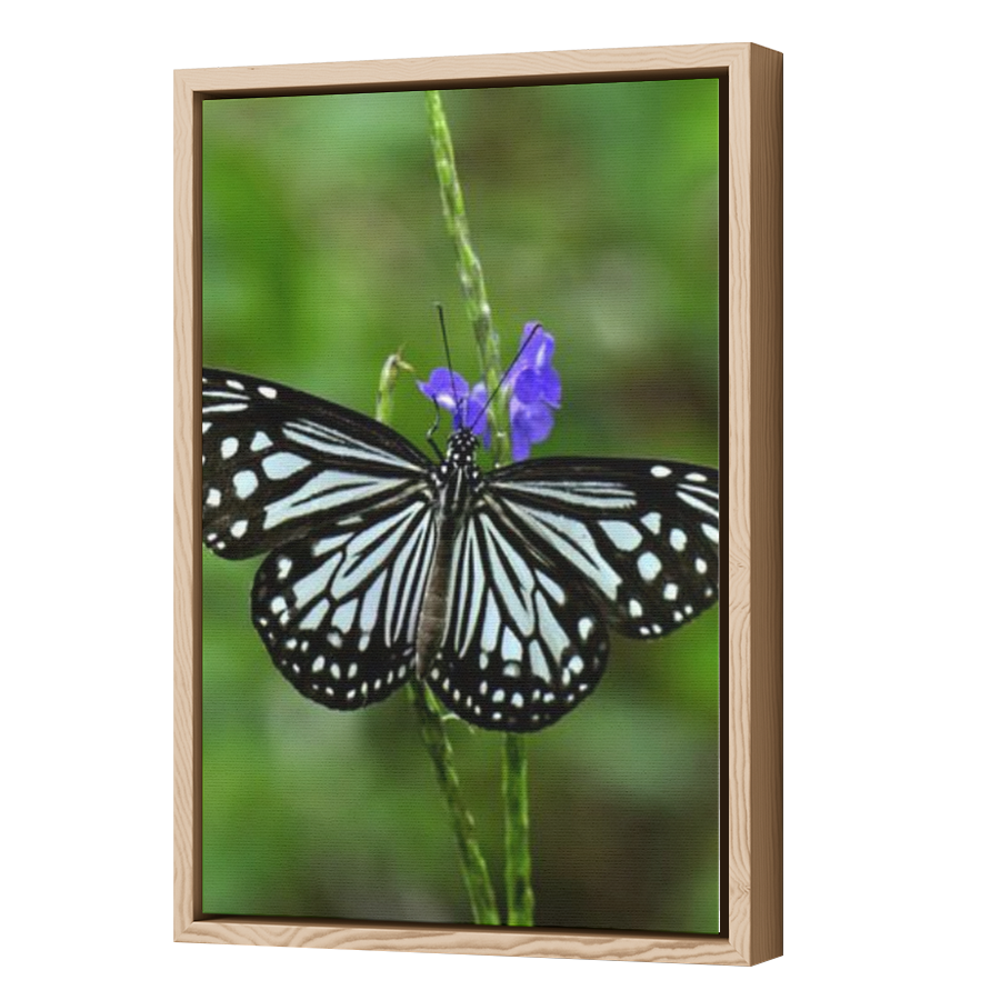 Thumbnail for Canvas - Wood Grain Floating Frame