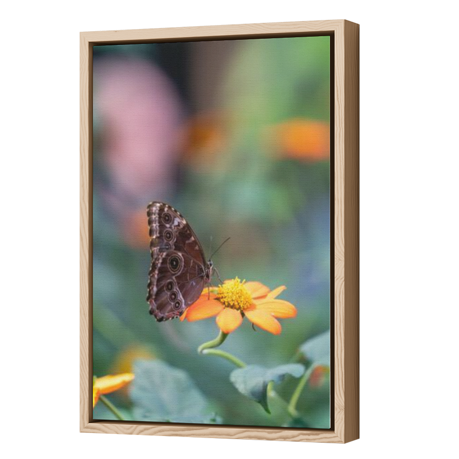 Thumbnail for Canvas - Wood Grain Floating Frame