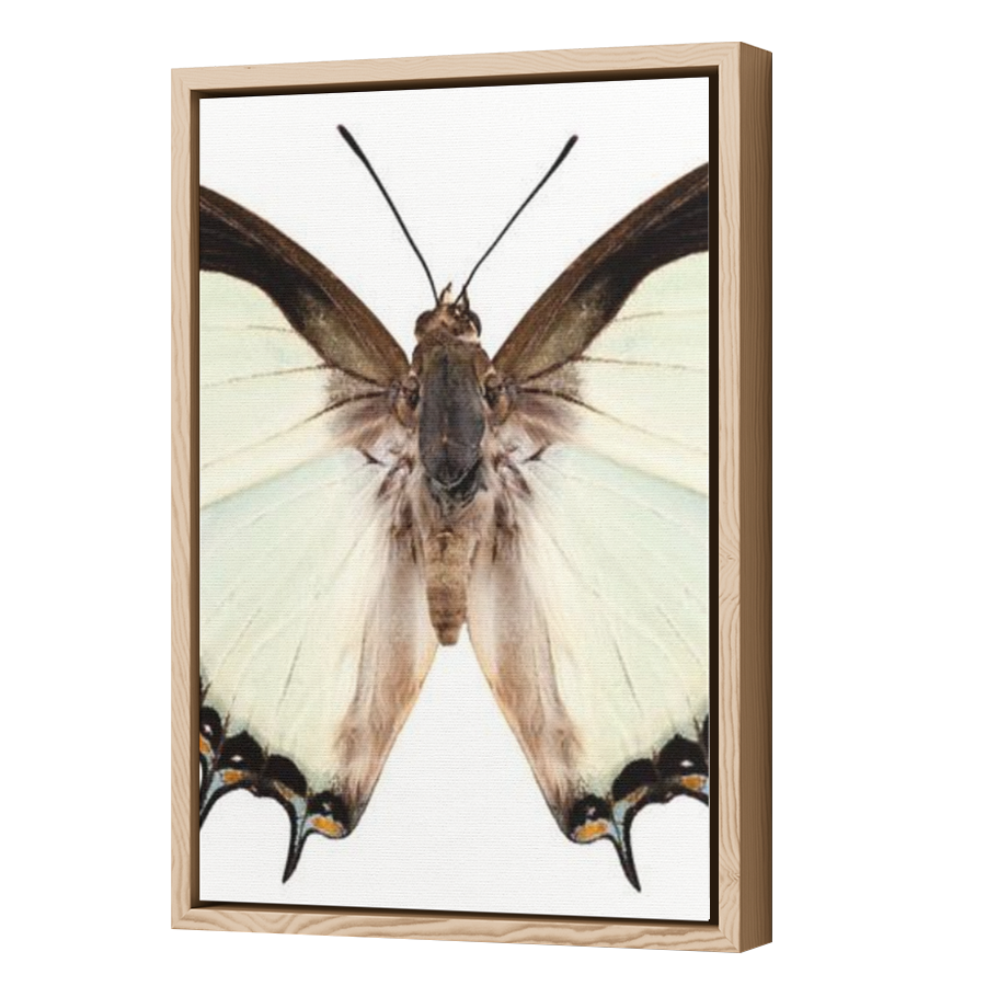 Thumbnail for Canvas - Wood Grain Floating Frame