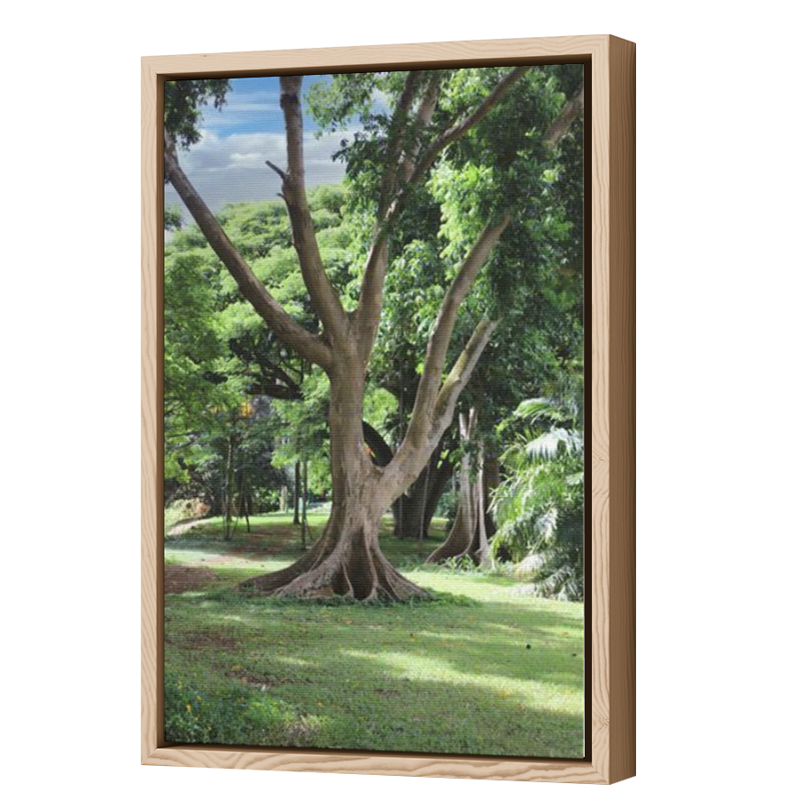 Thumbnail for Canvas - Wood Grain Floating Frame