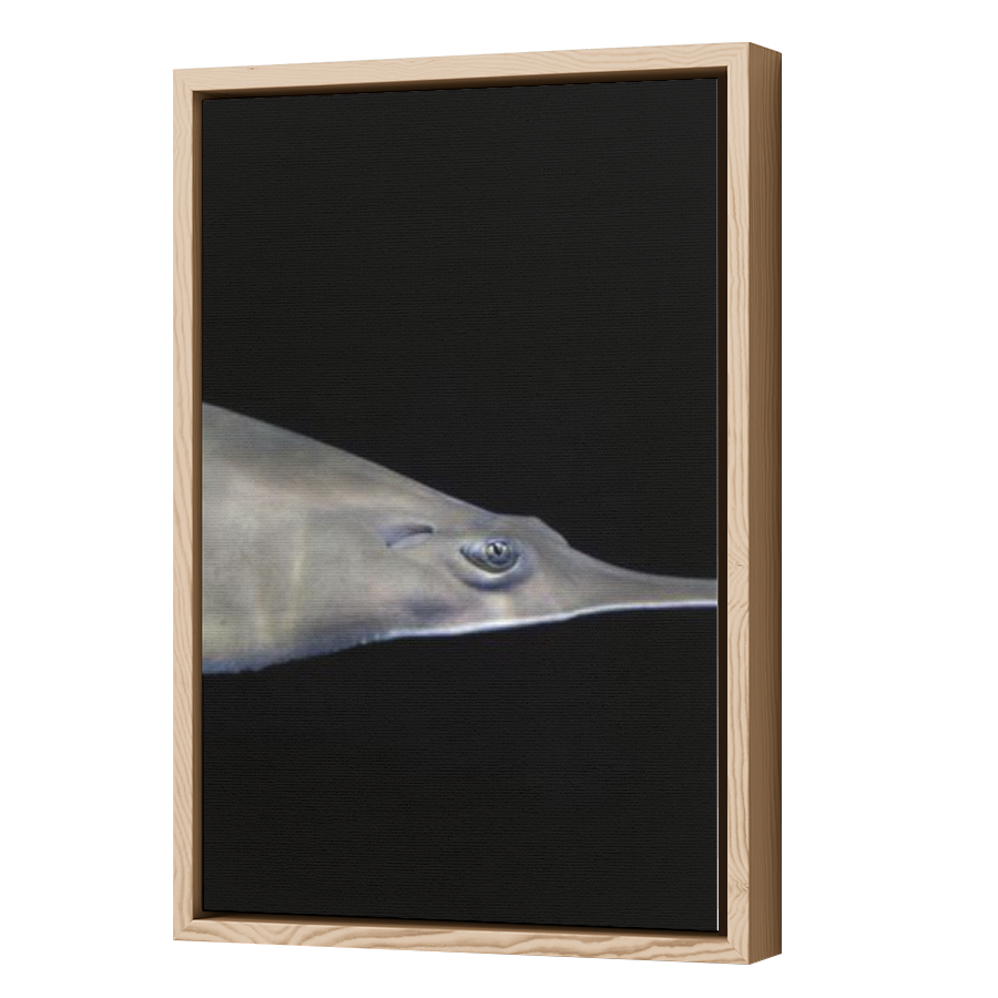 Thumbnail for Canvas - Wood Grain Floating Frame