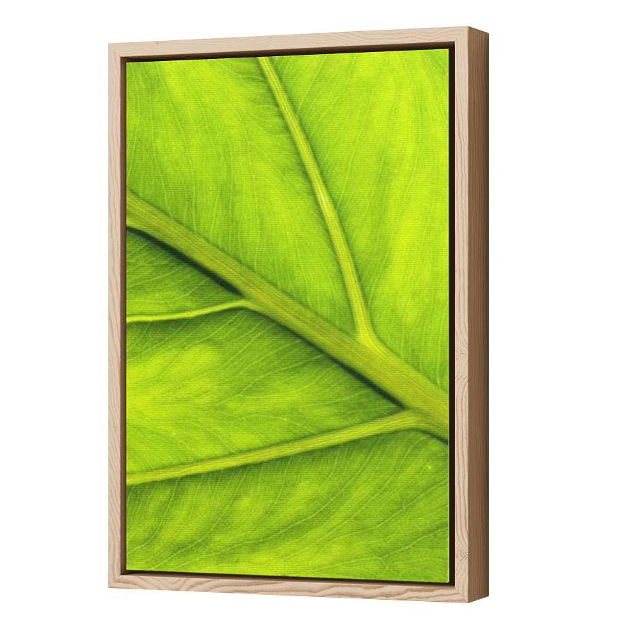 Thumbnail for Canvas - Wood Grain Floating Frame