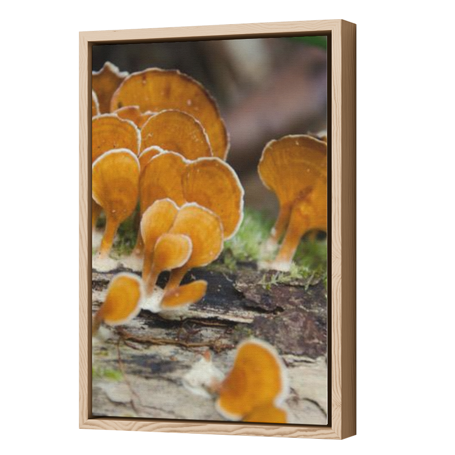 Thumbnail for Canvas - Wood Grain Floating Frame