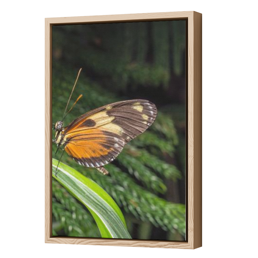 Thumbnail for Canvas - Wood Grain Floating Frame