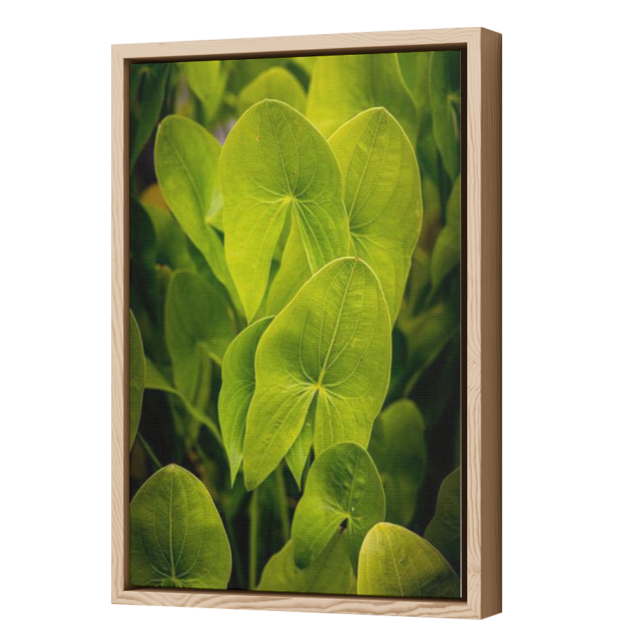 Thumbnail for Canvas - Wood Grain Floating Frame