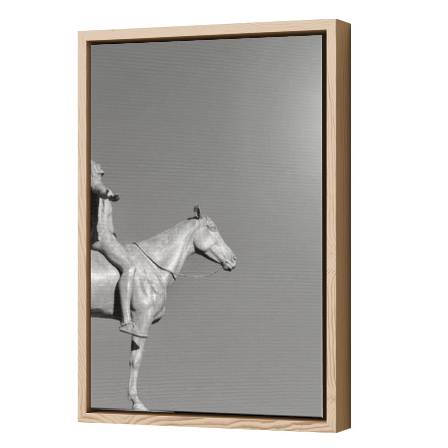 Thumbnail for Canvas - Wood Grain Floating Frame
