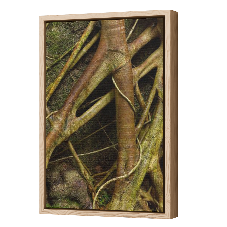 Thumbnail for Canvas - Wood Grain Floating Frame