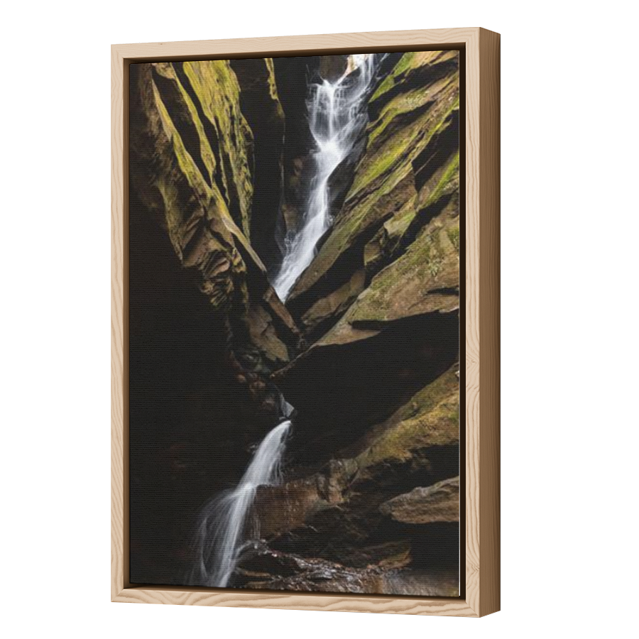 Thumbnail for Canvas - Wood Grain Floating Frame