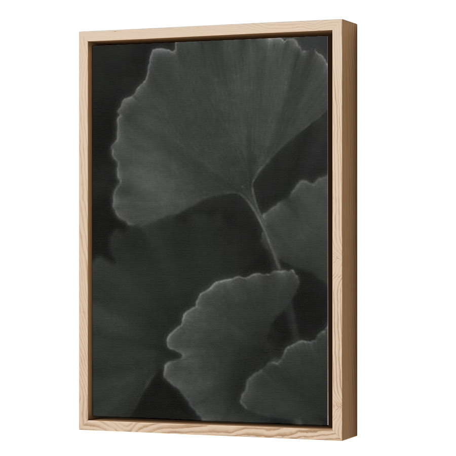Thumbnail for Canvas - Wood Grain Floating Frame