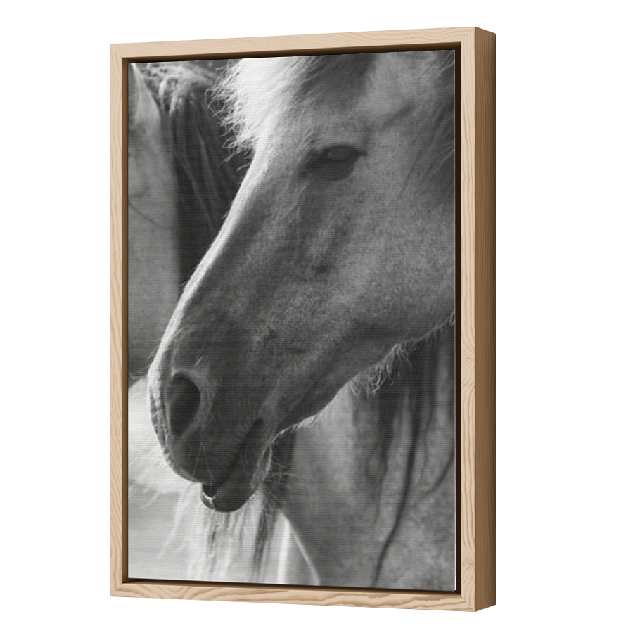 Thumbnail for Canvas - Wood Grain Floating Frame