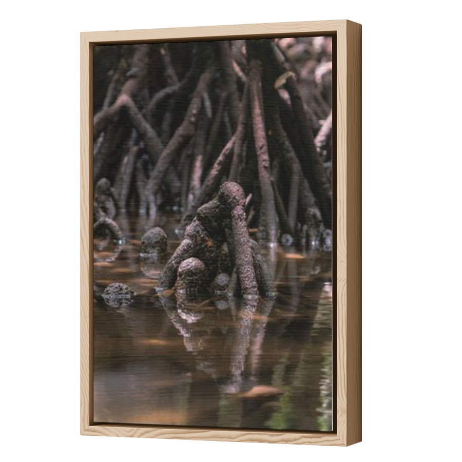 Thumbnail for Canvas - Wood Grain Floating Frame