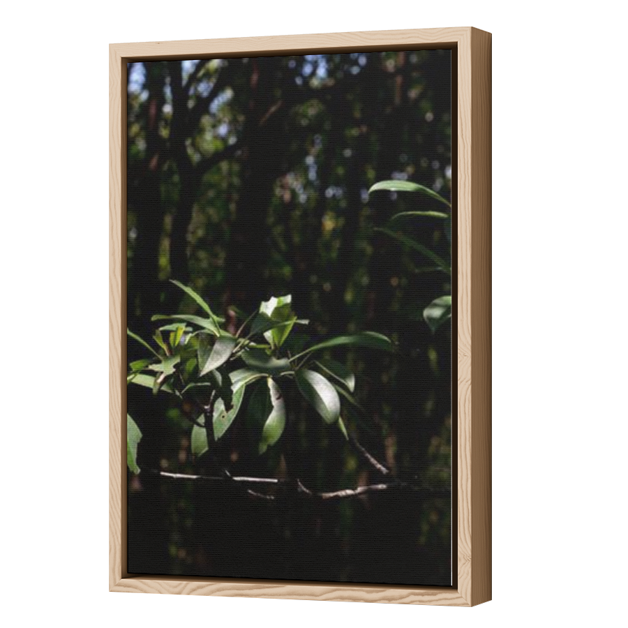 Thumbnail for Canvas - Wood Grain Floating Frame