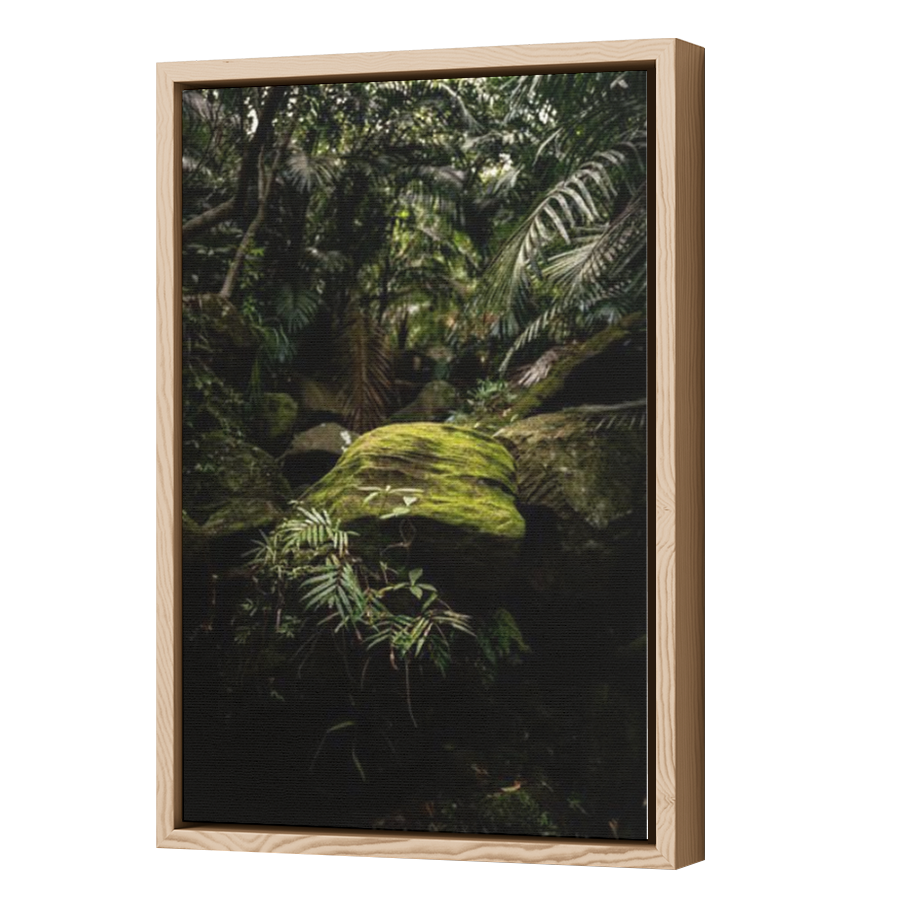Thumbnail for Canvas - Wood Grain Floating Frame