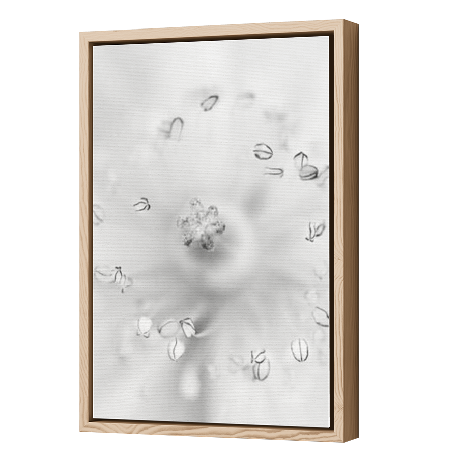 Thumbnail for Canvas - Wood Grain Floating Frame