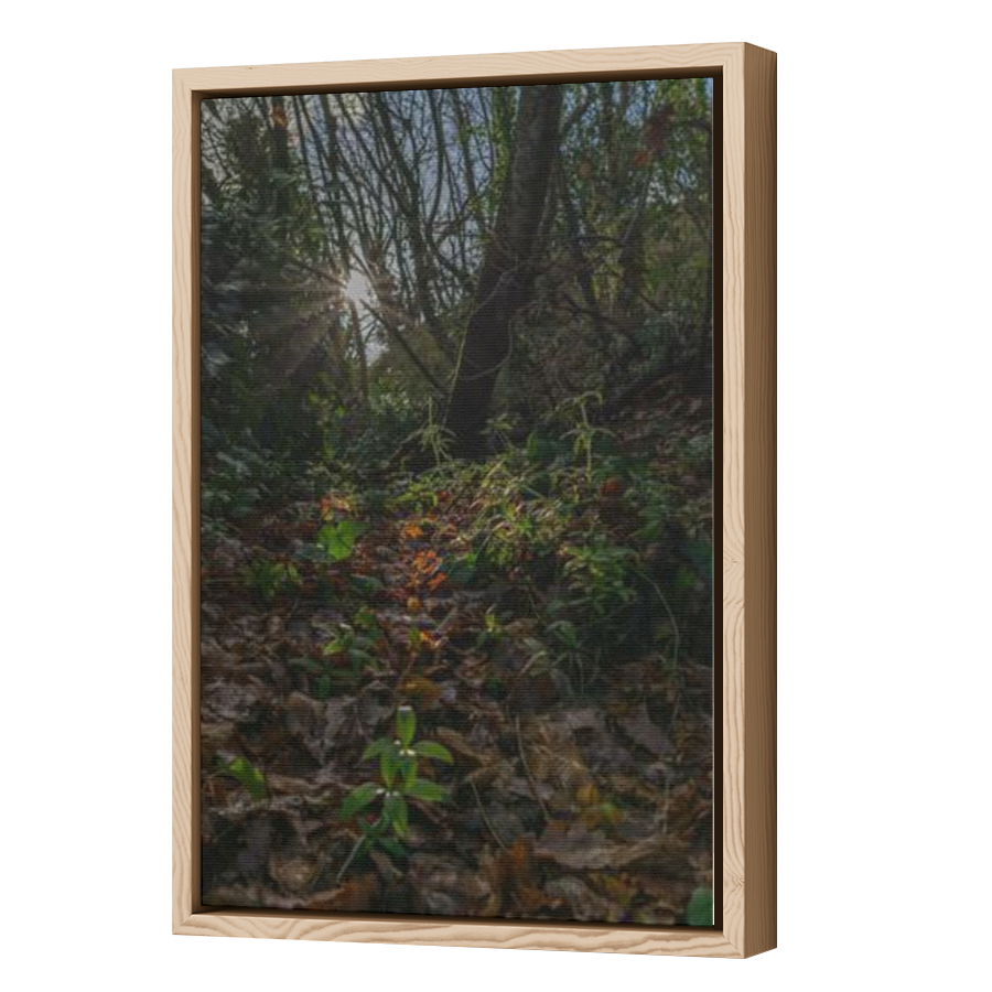 Thumbnail for Canvas - Wood Grain Floating Frame