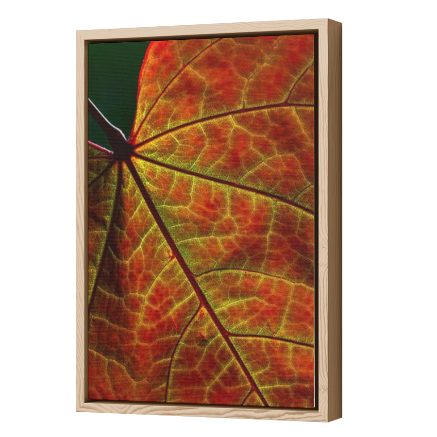 Thumbnail for Canvas - Wood Grain Floating Frame