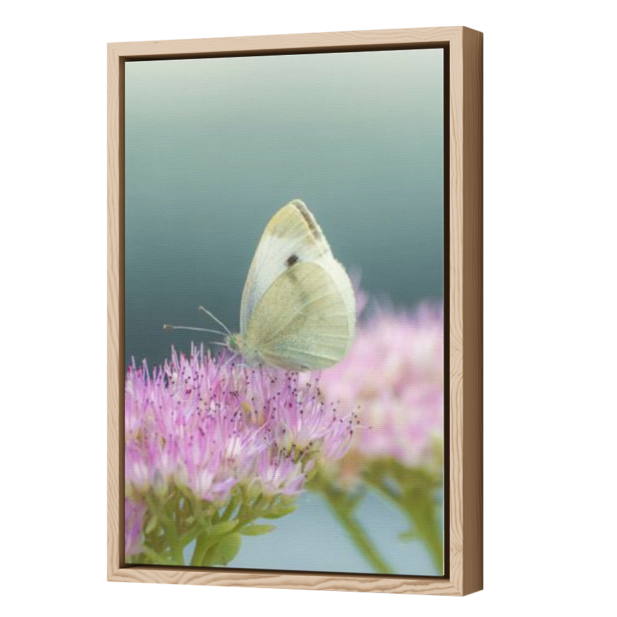Thumbnail for Canvas - Wood Grain Floating Frame