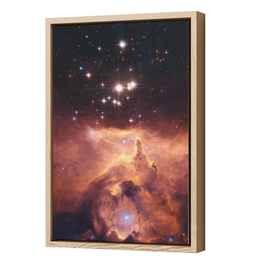 Thumbnail for Canvas - Wood Grain Floating Frame