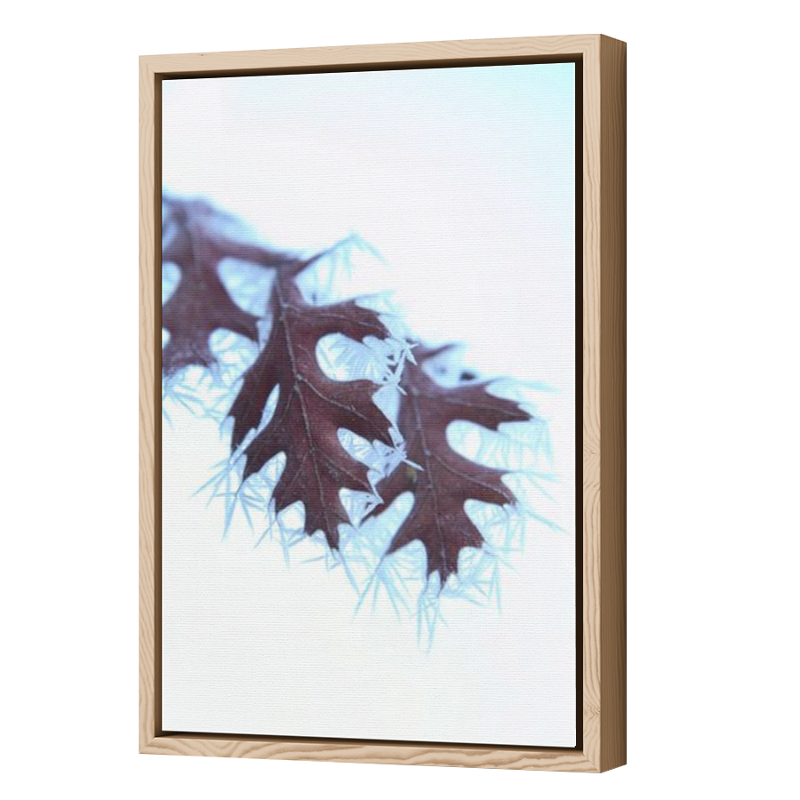 Thumbnail for Canvas - Wood Grain Floating Frame