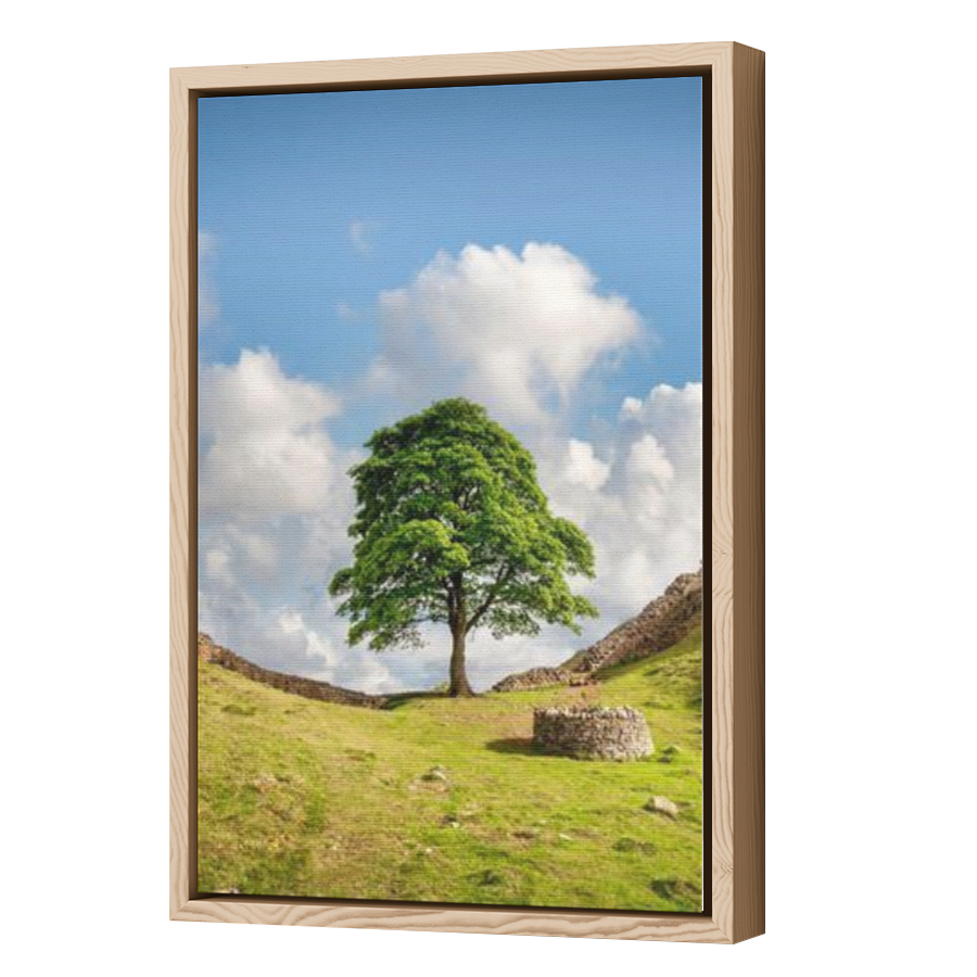 Thumbnail for Canvas - Wood Grain Floating Frame