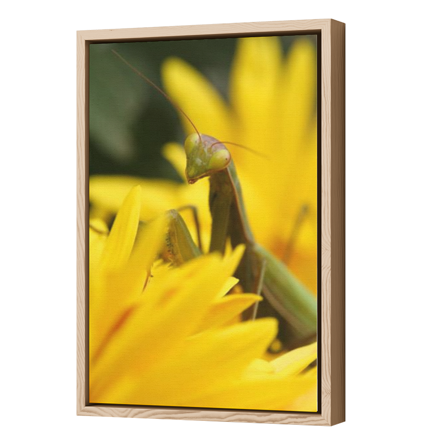 Thumbnail for Canvas - Wood Grain Floating Frame