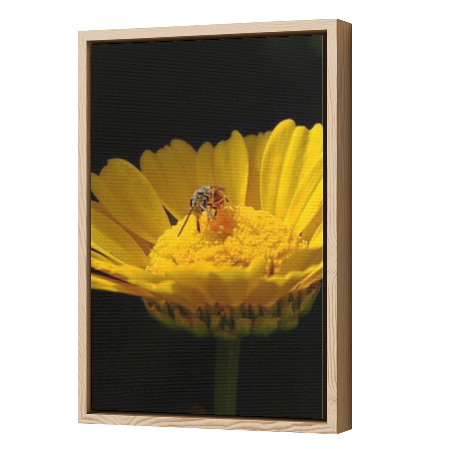 Thumbnail for Canvas - Wood Grain Floating Frame