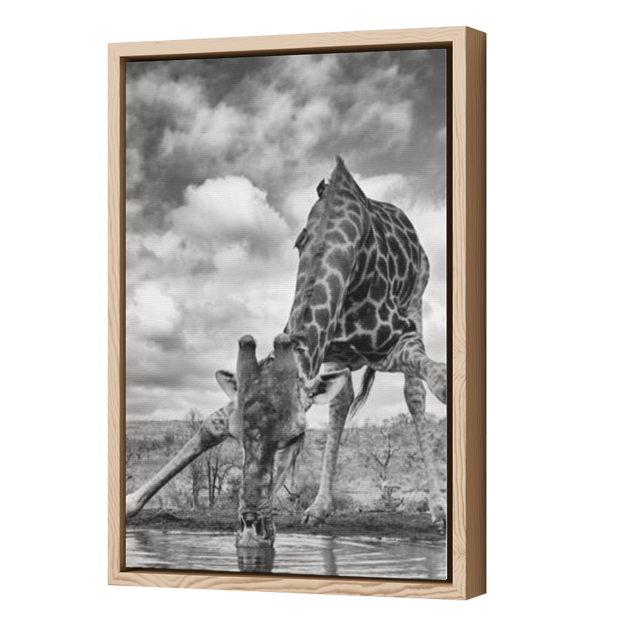 Thumbnail for Canvas - Wood Grain Floating Frame