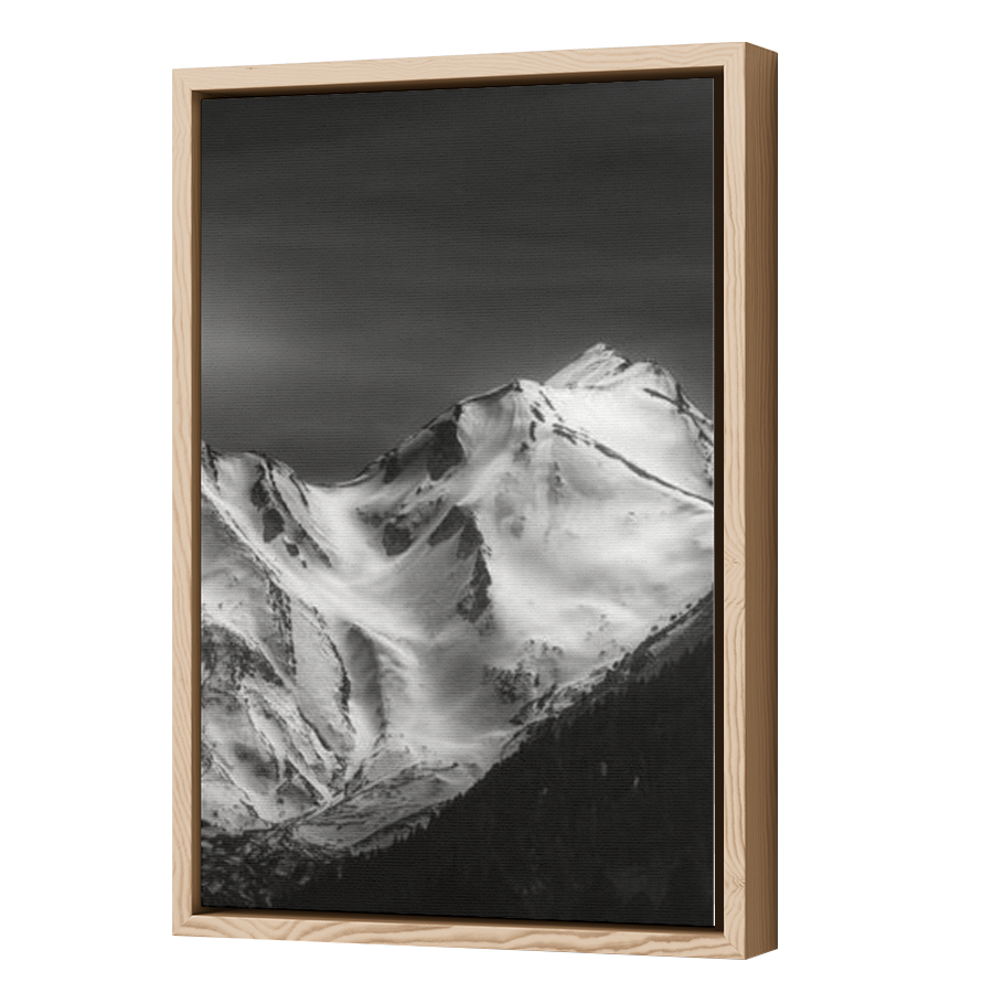 Thumbnail for Canvas - Wood Grain Floating Frame